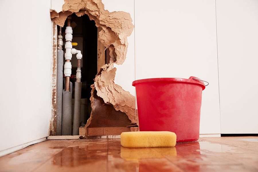 Most Common Places for Plumbing Leaks